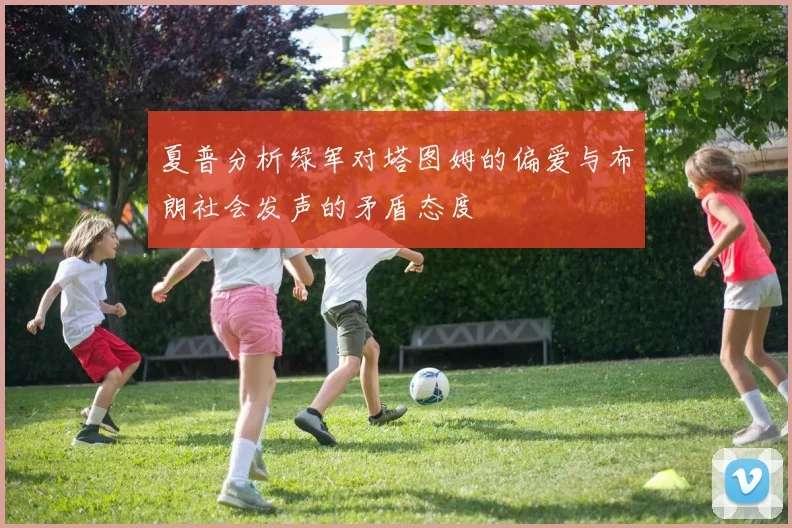 夏普分析绿军对塔图姆的偏爱与布朗社会发声的矛盾态度