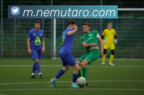 奖项证书